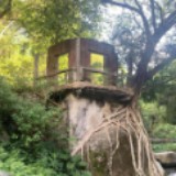 （分類：）位於 。 由 MEDST 提交（商品編號 1371860243，圖片 1）。簡介： 。