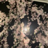 (Category: ) located in . Submitted by cheesecake_meimei (Listing ID 1349278507, Image 1). Description: .