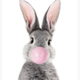 (Kategori: ) berada di . Dikirim oleh Marshmallowstore88 (ID iklan 1359517138, Gambar 1). Deskripsi: .
