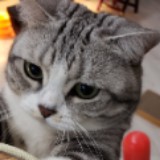 （分類：）位於 。 由 siuxuanzi.1 提交（商品編號 1181628216，圖片 1）。簡介： 。