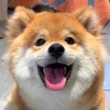 （分類：）位於 。 由 sharonlaucs 提交（商品編號 1152706189，圖片 1）。簡介： 。