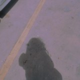 (Category: ) located in . Submitted by jshann (Listing ID 1453926704, Image 1). Description: .