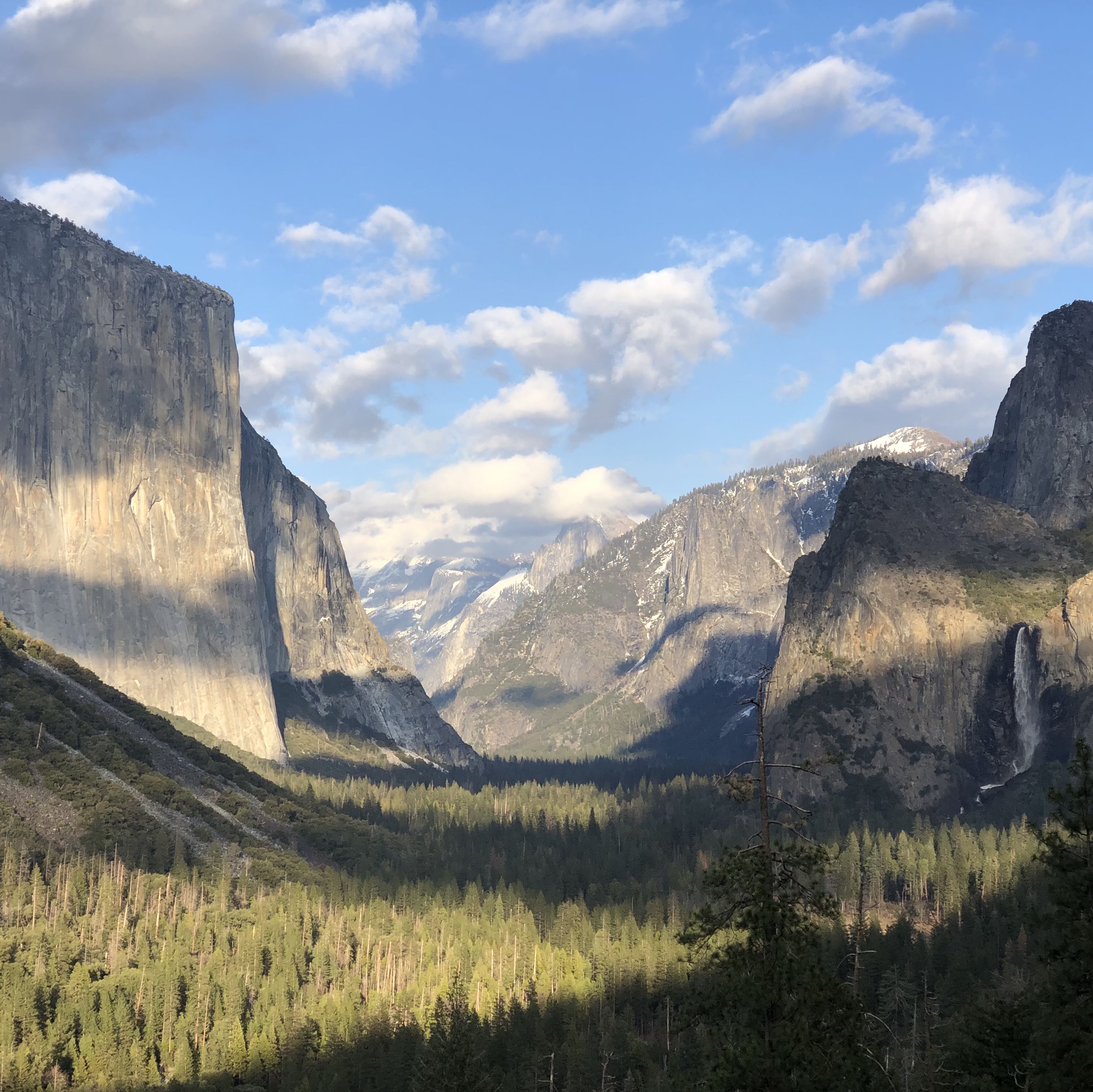 (Category: ) located in . Submitted by boshita (Listing ID 1187618326, Image 1). Description: .