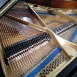 (Kategori: ) berada di . Dikirim oleh PUTRA.PIANO (ID iklan 1355504400, Gambar 1). Deskripsi: .