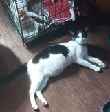 (Category: ) located in . Submitted by madz711 (Listing ID 1418632334, Image 1). Description: .