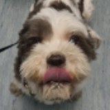(Category: ) located in . Submitted by frenzybanana (Listing ID 1369695950, Image 1). Description: .
