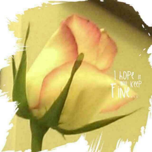 （分類：）位於 。 由 HappyGrundy 提交（商品編號 1378630428，圖片 1）。簡介： 。