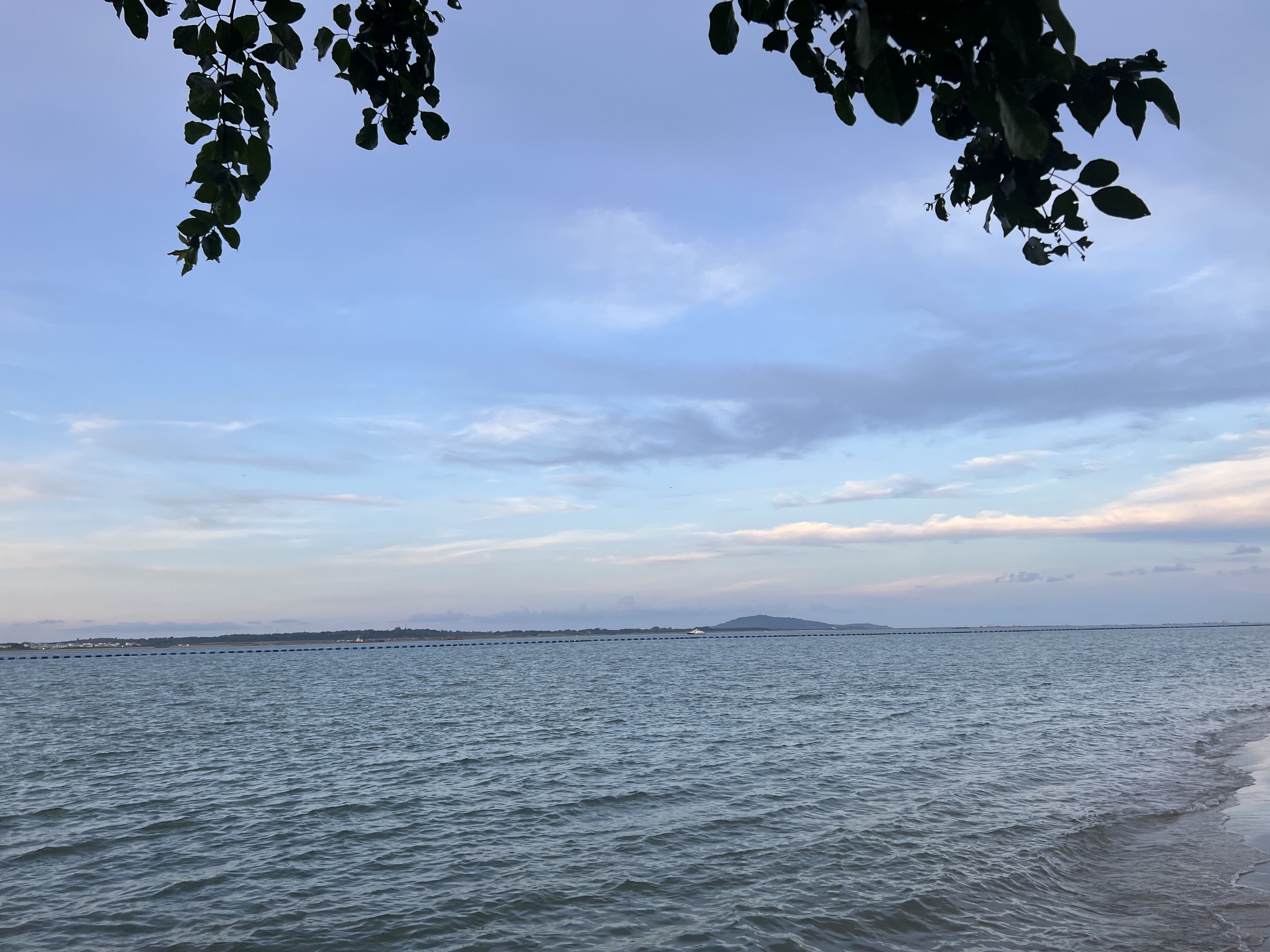 (Category: ) located in . Submitted by blahblahduh (Listing ID 1380930792, Image 1). Description: .