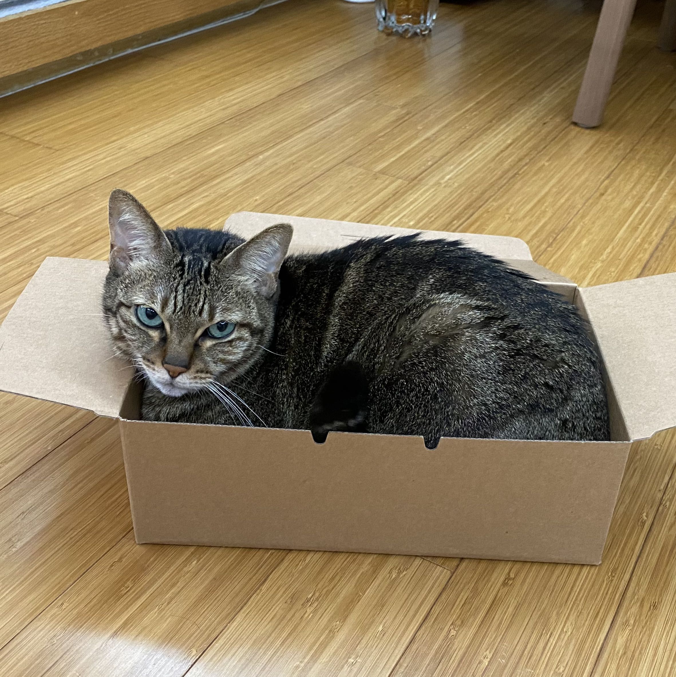 (Category: ) located in . Submitted by janehooi (Listing ID 1386433293, Image 1). Description: .