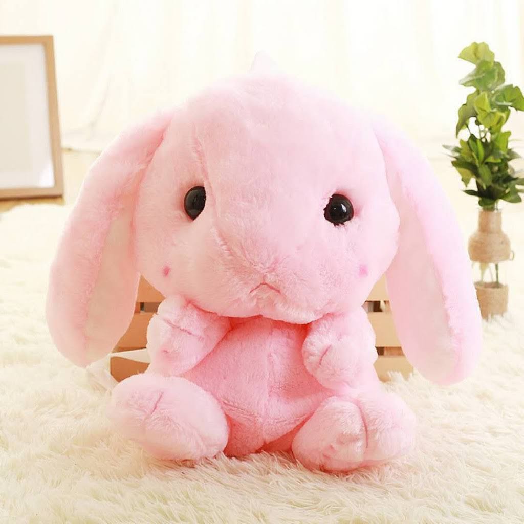 (Category: ) located in . Submitted by carrots80 (Listing ID 1418057133, Image 1). Description: .