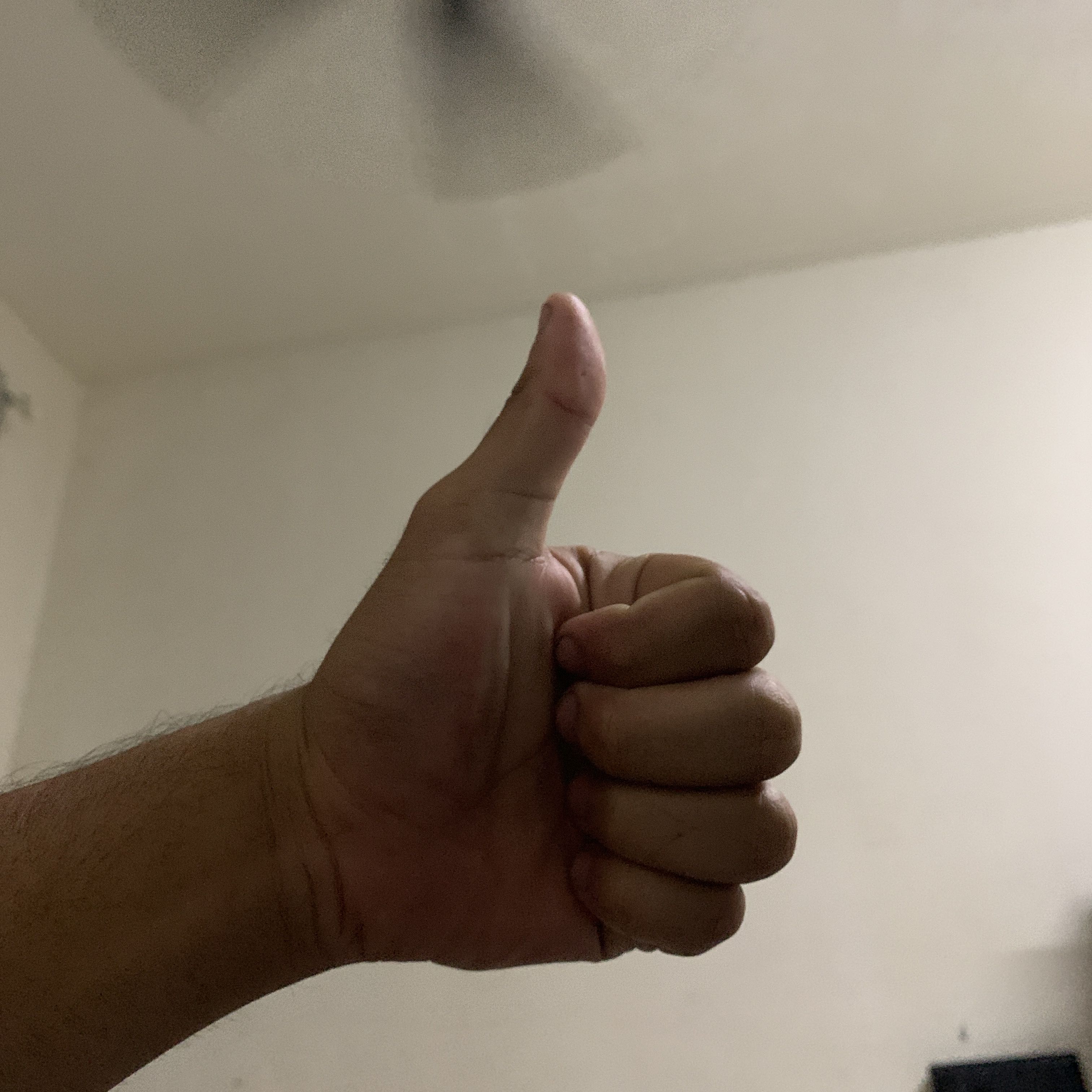 (Category: ) located in . Submitted by arifarif12 (Listing ID 1463012319, Image 1). Description: .
