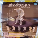 （分類：）位於 。 由 jccccc333 提交（商品編號 1338603501，圖片 1）。簡介： 。