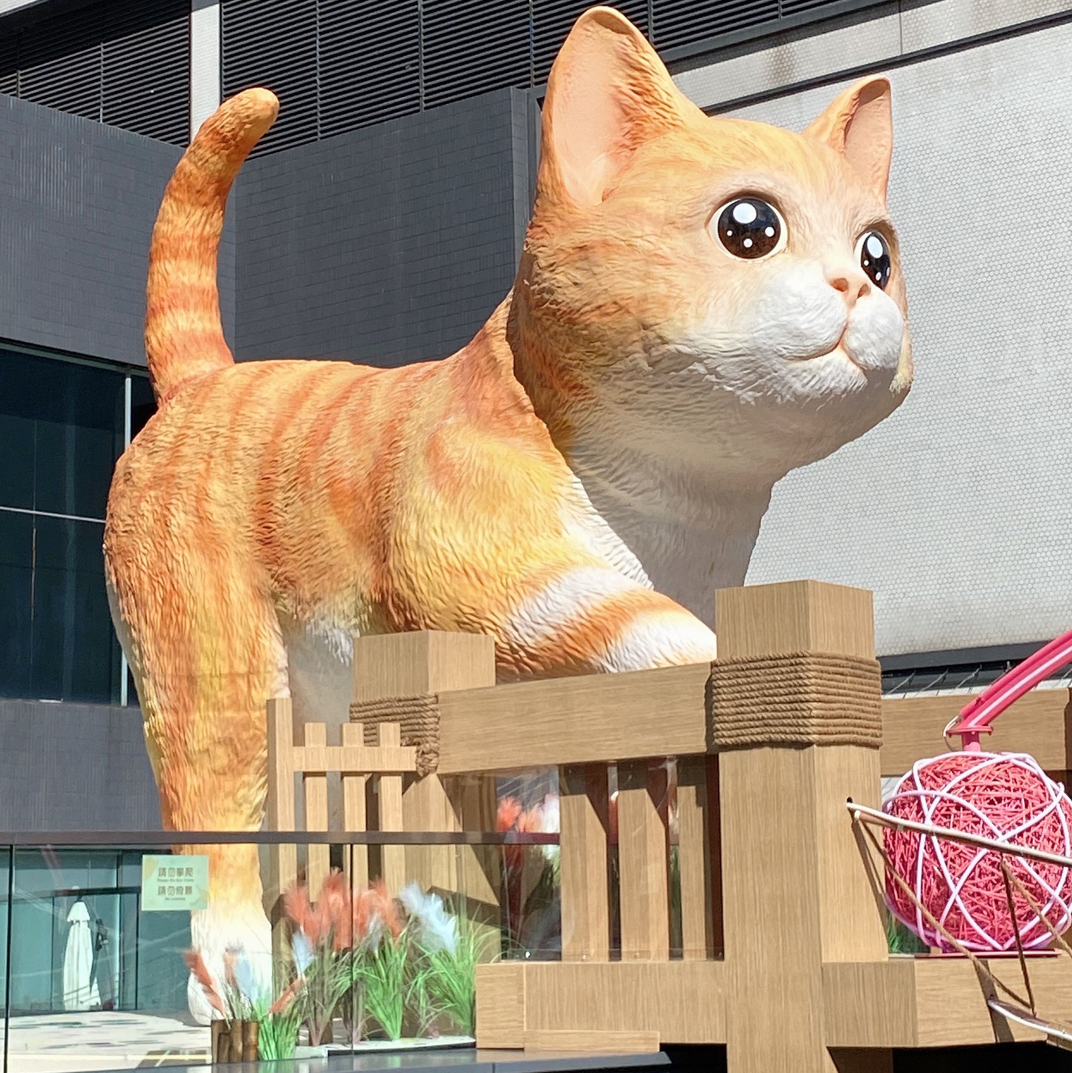 （分類：）位於 。 由 cat_yeung 提交（商品編號 1306580592，圖片 1）。簡介： 。