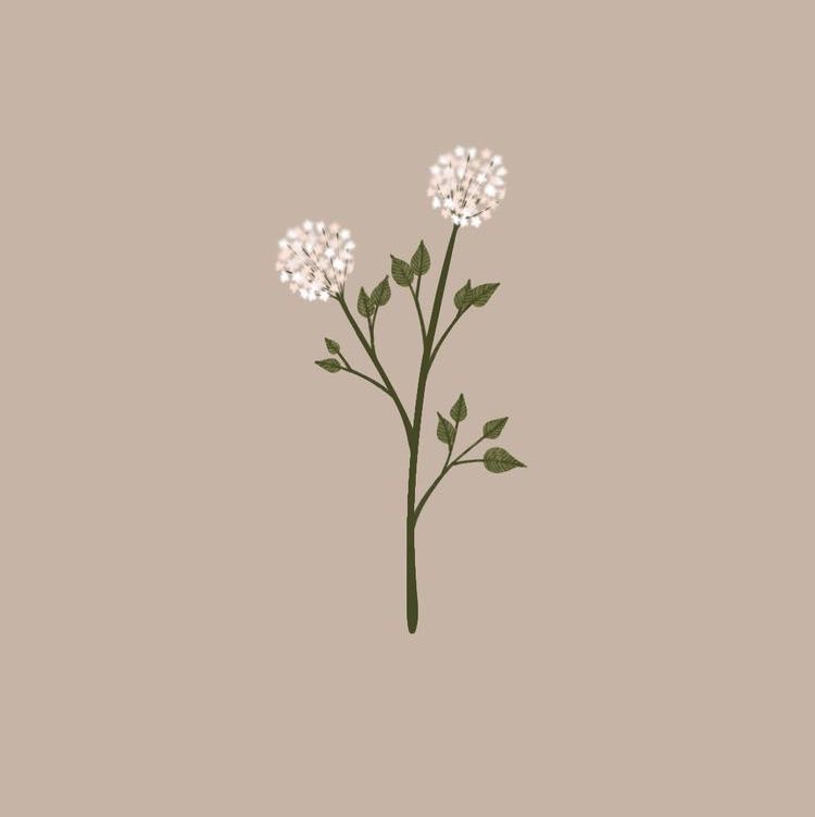 (Category: ) located in . Submitted by ameliaflowers (Listing ID 1196906558, Image 1). Description: .