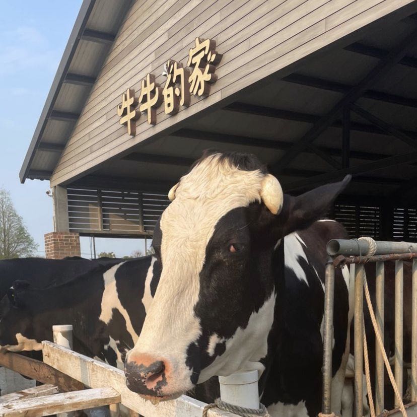 由 dzffn96d4w (刊登 ID 1382250905，圖片 1) 提交，位於 的 (類別：)，說明：。