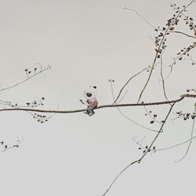 （分類：）位於 。 由 jady_shop 提交（商品編號 1270543509，圖片 1）。簡介： 。