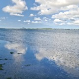 (Category: ) located in . Submitted by pricklepear (Listing ID 1379803197, Image 1). Description: .