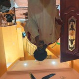 (Category: ) located in . Submitted by ahmadnassem02 (Listing ID 1384705310, Image 1). Description: .