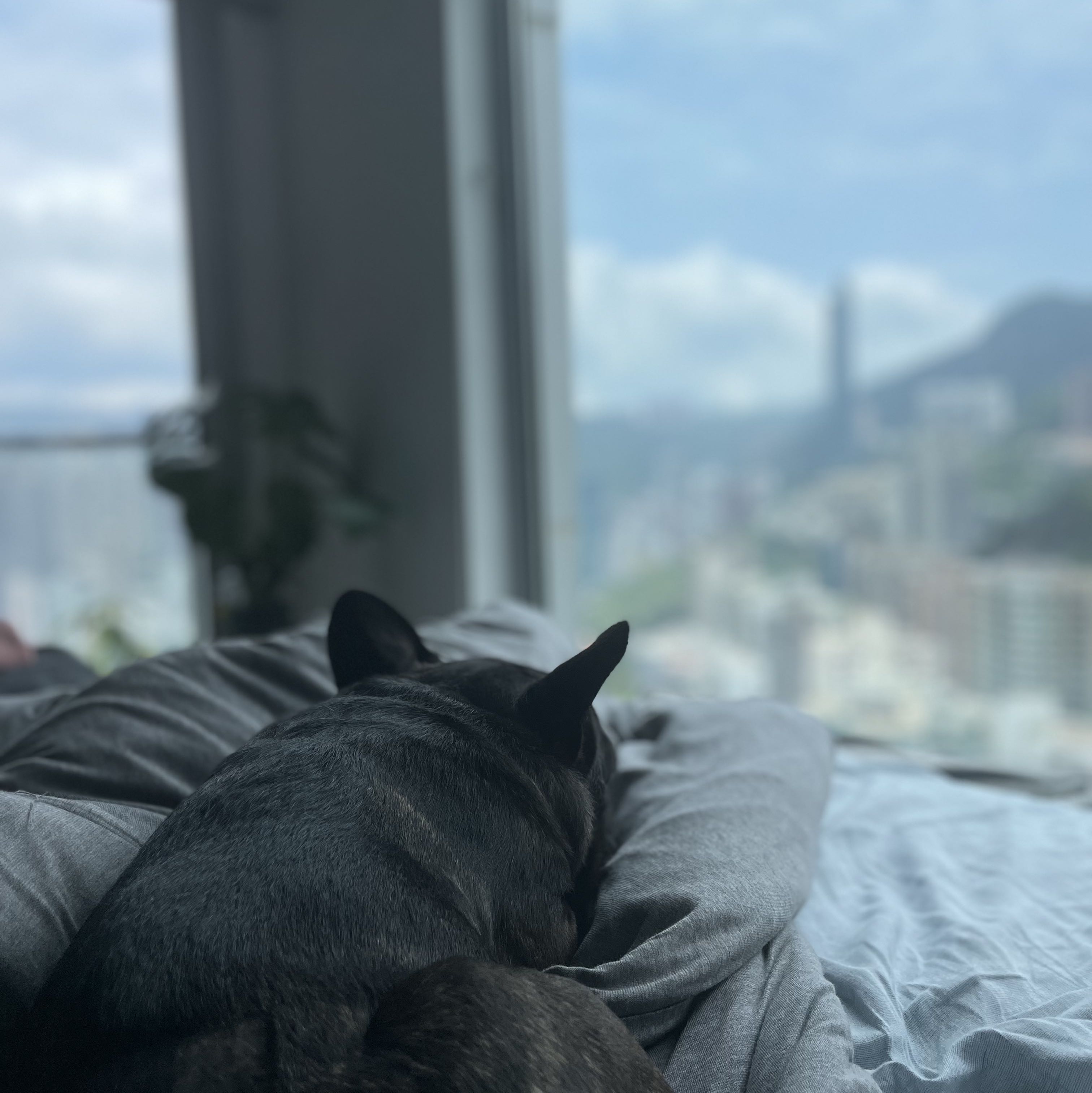 （分類：）位於 。 由 Kathchan006 提交（商品編號 1376983833，圖片 1）。簡介： 。