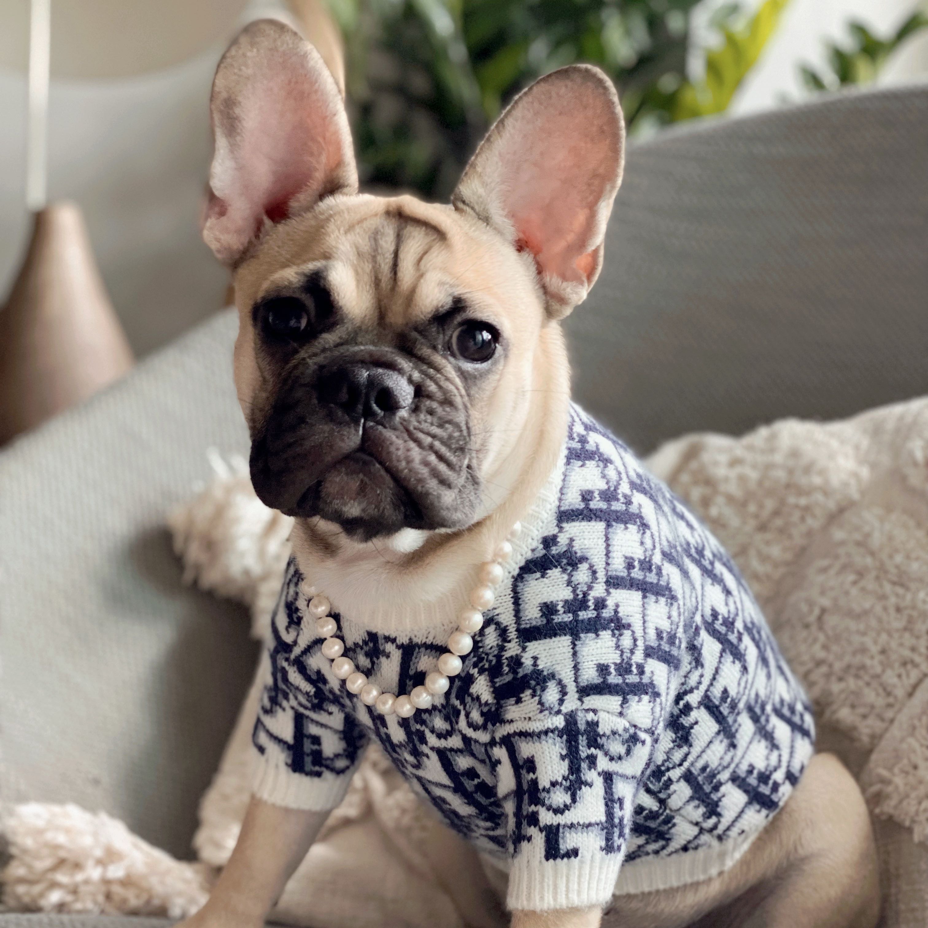 (Category: ) located in . Submitted by halffullbutneverfull (Listing ID 1371244899, Image 1). Description: .