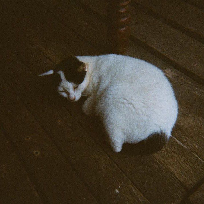 (Category: ) located in . Submitted by helmivf (Listing ID 1383987665, Image 1). Description: .