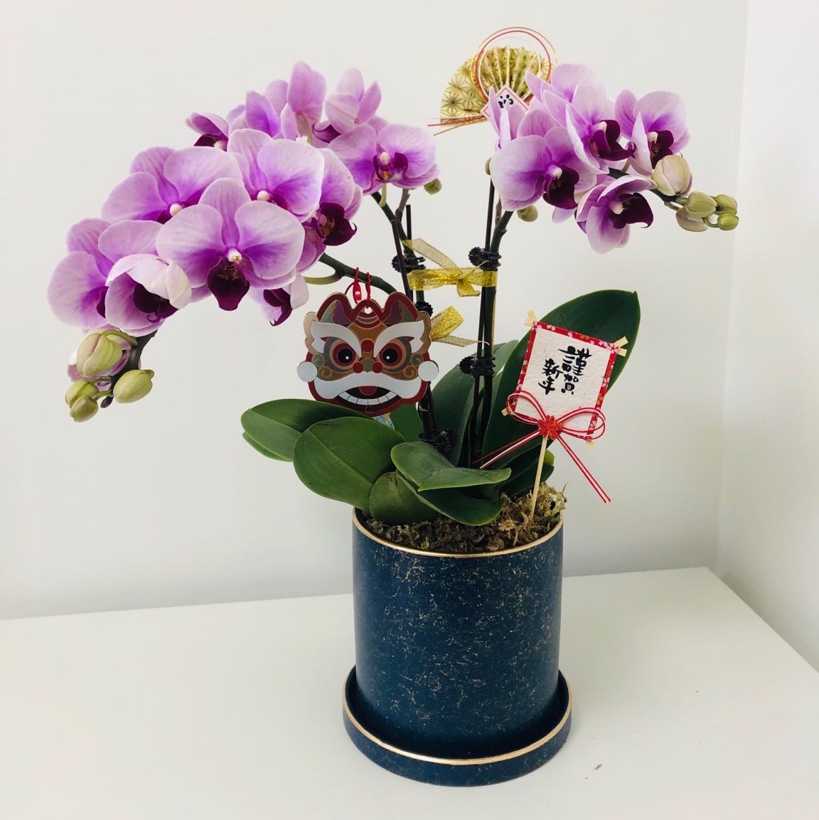 （分類：）位於 。 由 mak_dan 提交（商品編號 1339462998，圖片 1）。簡介： 。