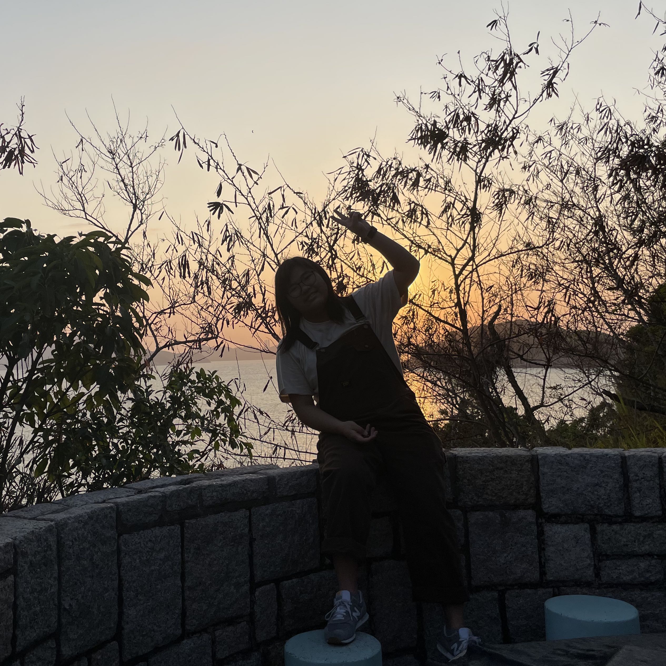 （分類：）位於 。 由 gbfaamddl 提交（商品編號 1354018399，圖片 1）。簡介： 。