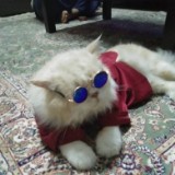 (Category: ) located in . Submitted by firairma3 (Listing ID 1379053017, Image 1). Description: .