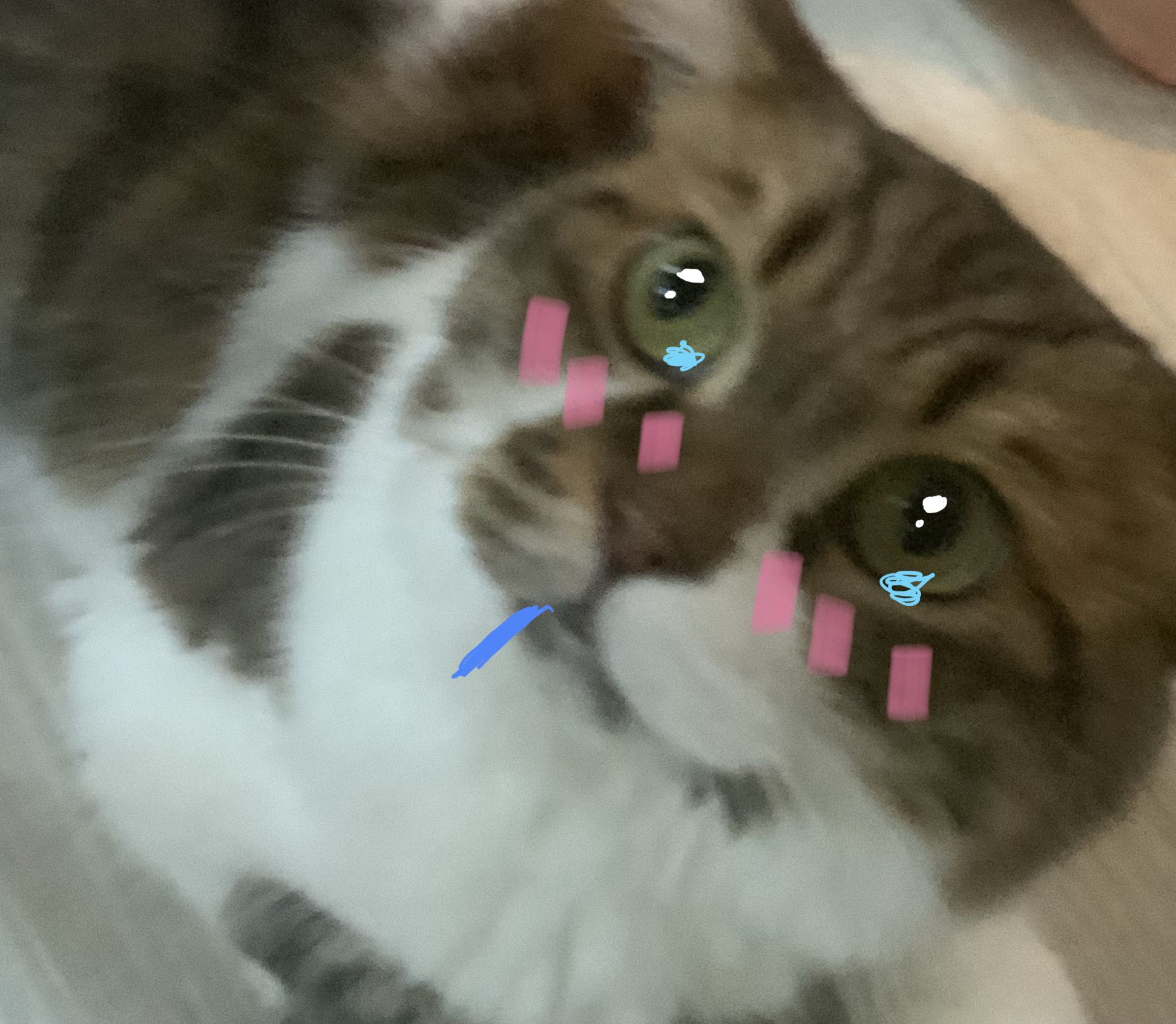 (Category: ) located in . Submitted by kittyymi (Listing ID 1357814118, Image 1). Description: .