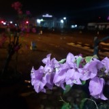 (Kategori: ) berada di . Dikirim oleh filalira (ID iklan 1321312735, Gambar 1). Deskripsi: .
