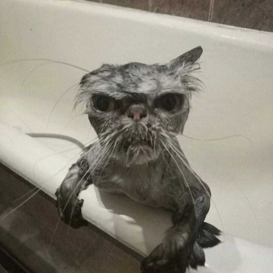 (Category: ) located in . Submitted by seifer.eddy (Listing ID 1423241351, Image 1). Description: .