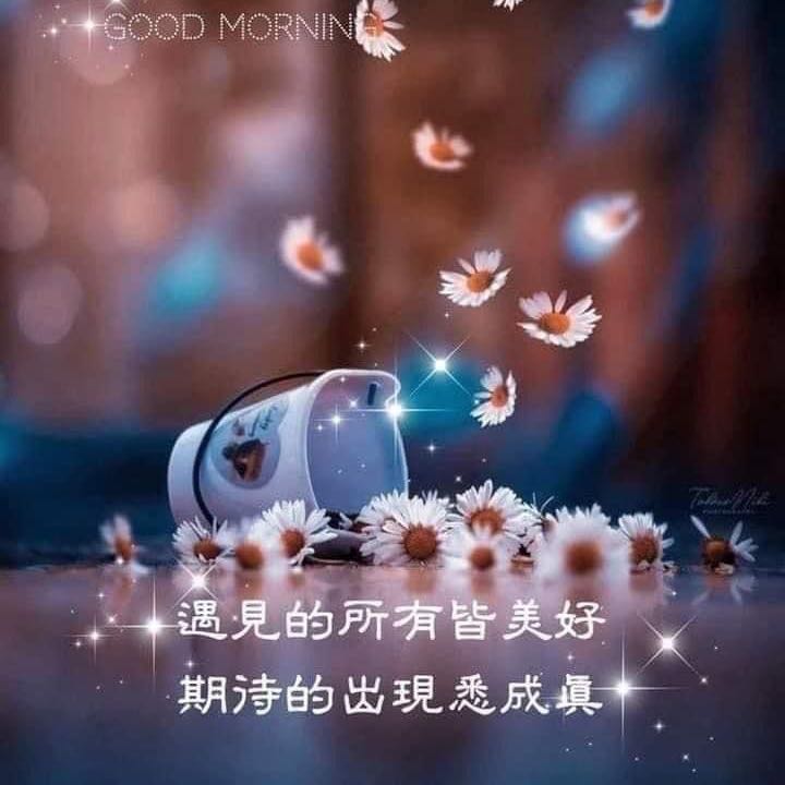 (Category: ) located in . Submitted by qiu_angel (Listing ID 1357366738, Image 1). Description: .