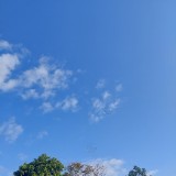 （分類：）位於 。 由 mchan8700 提交（商品編號 1370989815，圖片 1）。簡介： 。