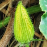 (分類:)位於 。 由 momochan2611 提交(商品編號 1457553833,圖片 1)。簡介: 。
