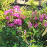 （分類：）位於 。 由 kykyky321 提交（商品編號 1322327403，圖片 1）。簡介： 。
