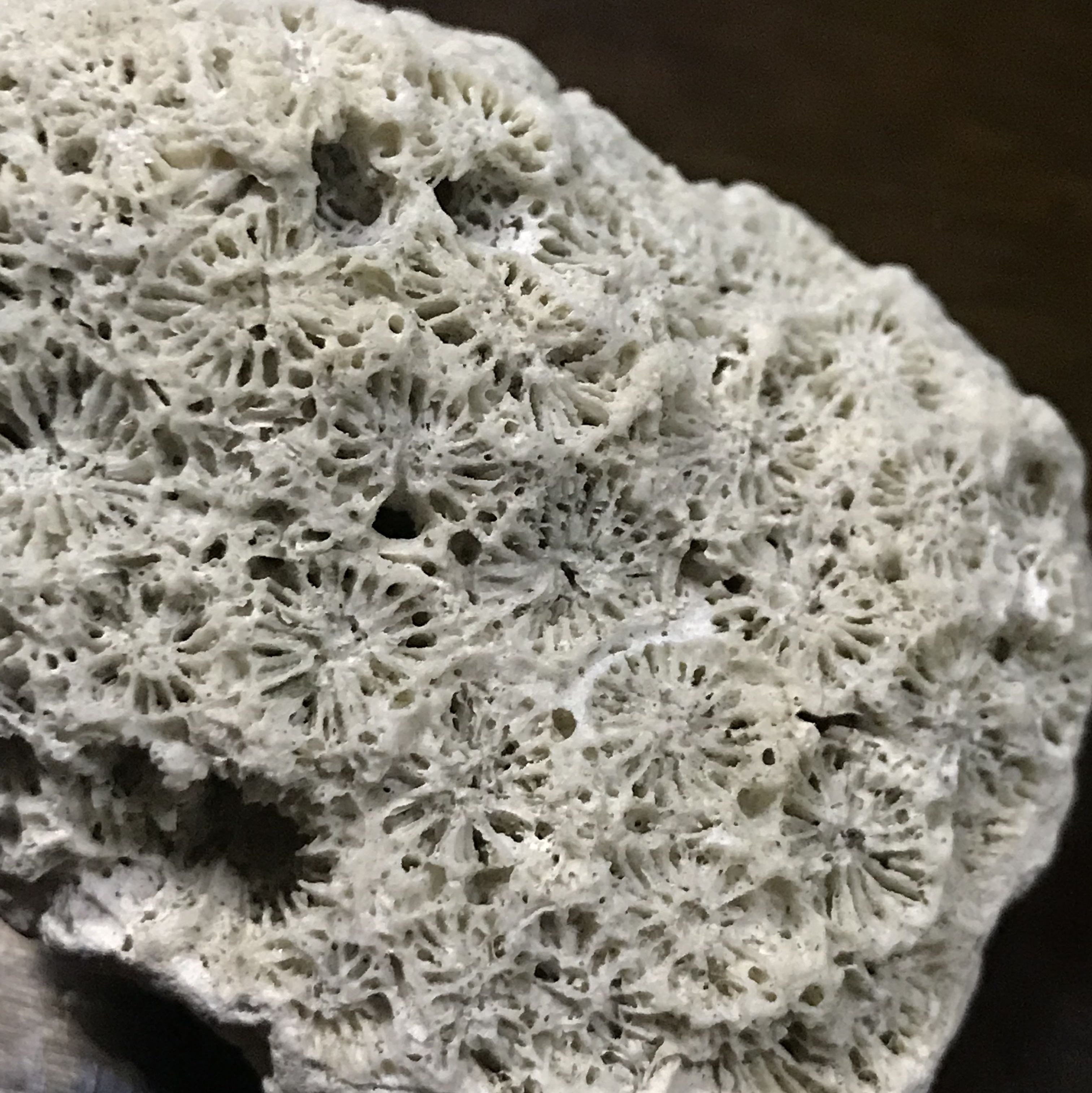 500+ affordable "used dslr camera" For Sale Carousell Philippines