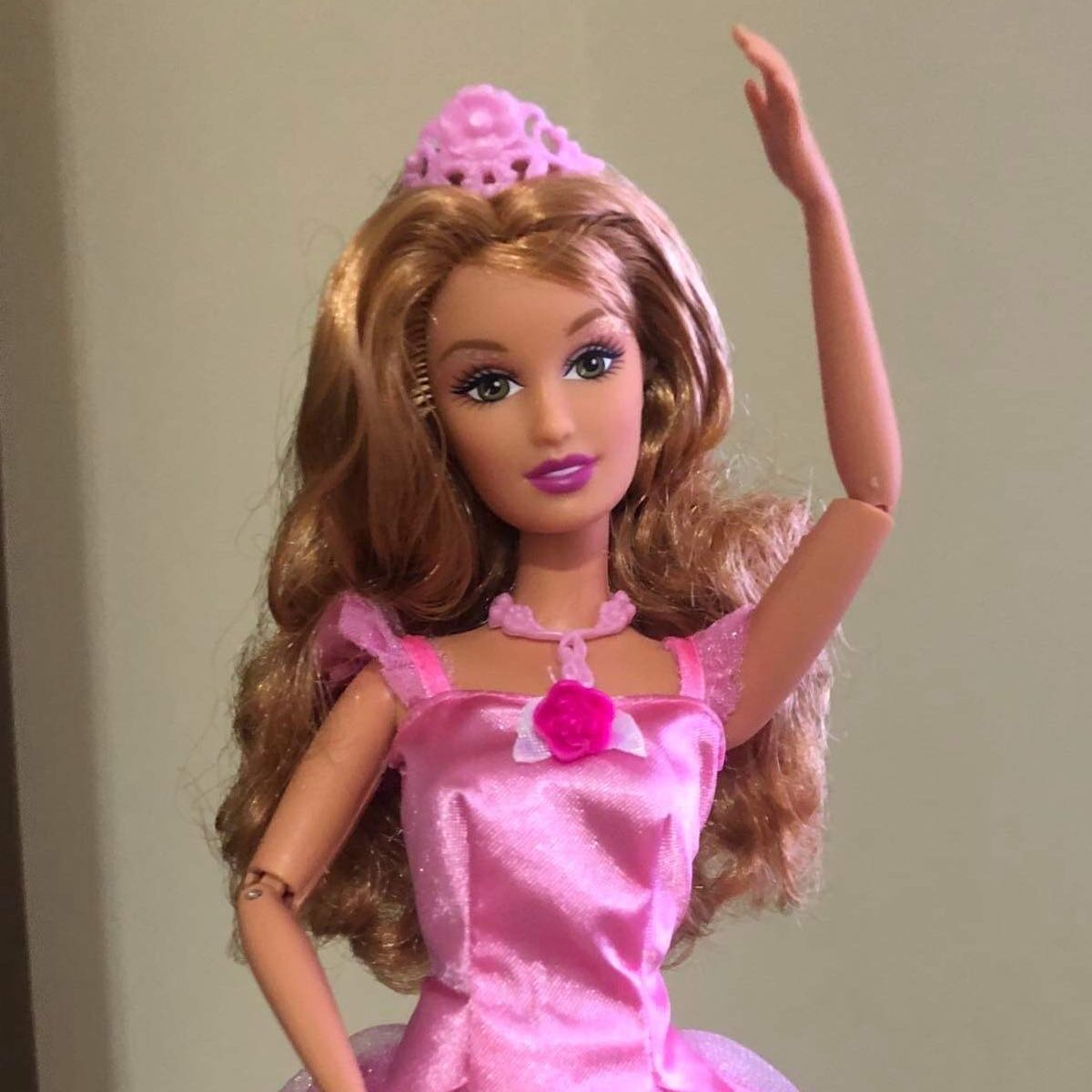 barbie and the 12 dancing princesses fallon