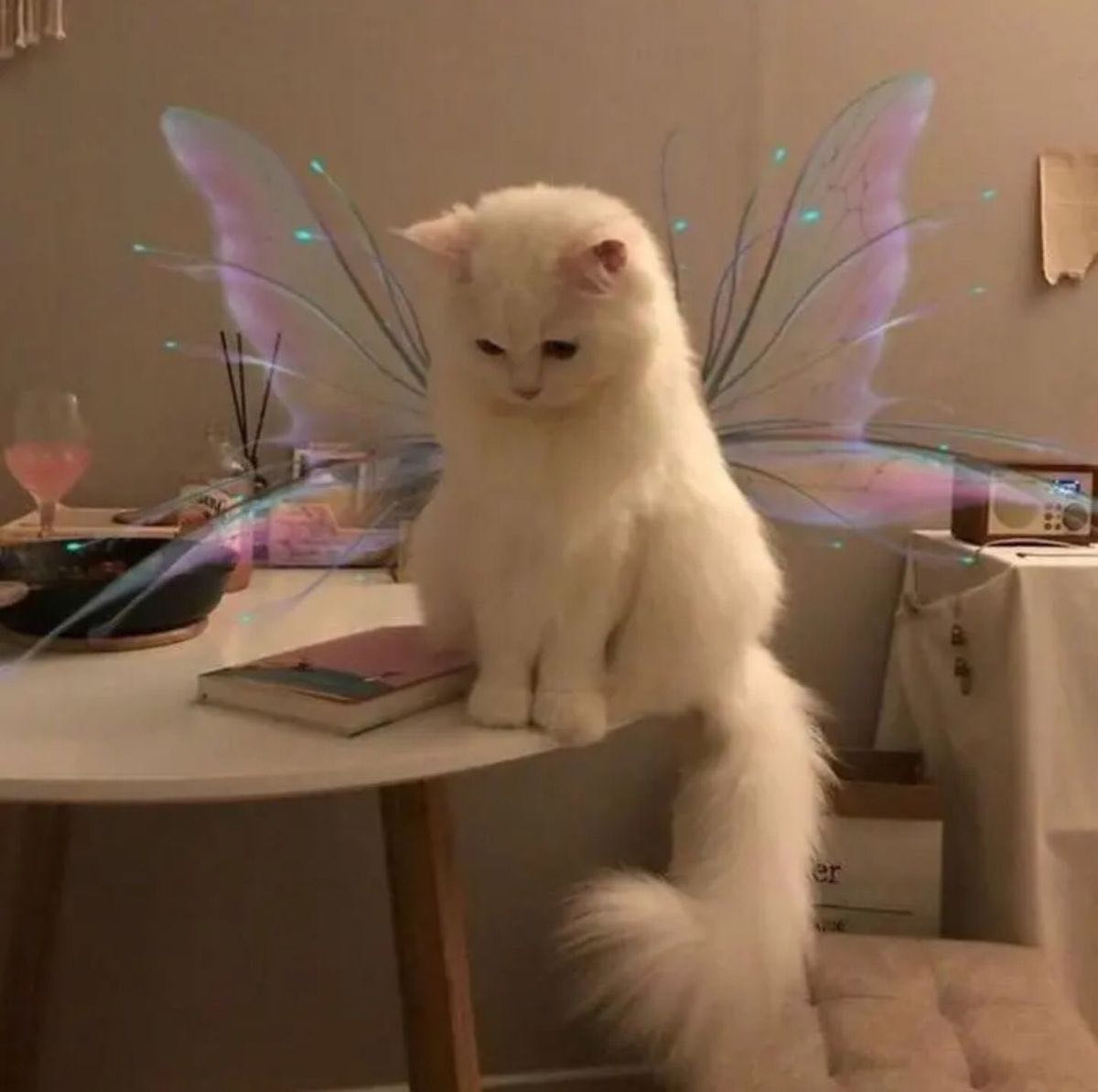(Category: ) located in . Submitted by fairycatss (Listing ID 1346830757, Image 1). Description: .