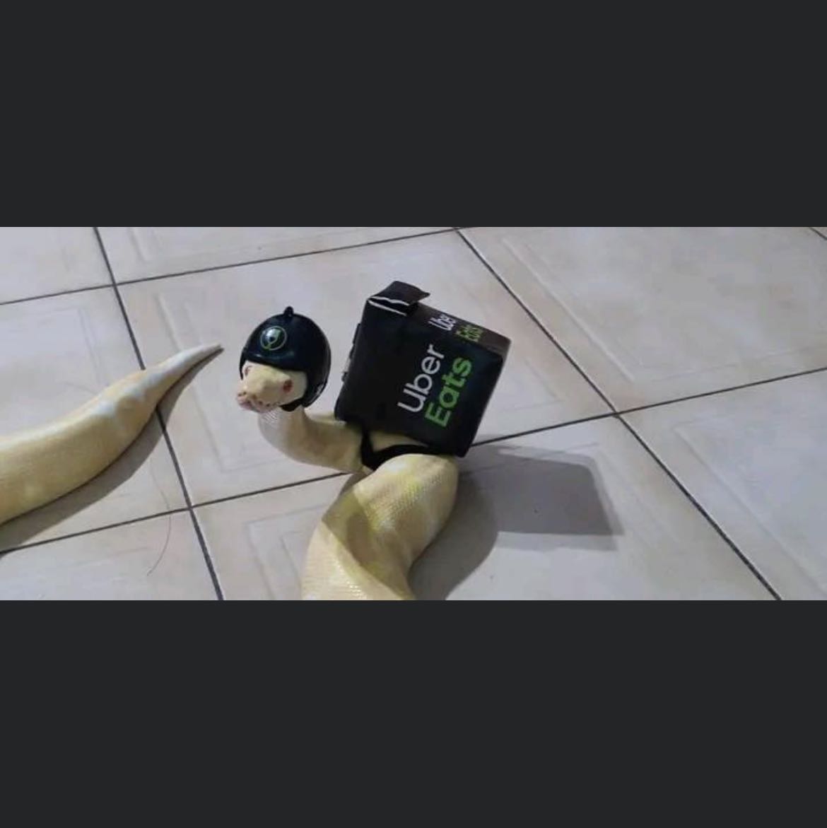 (Kategori: ) berada di . Dikirim oleh tokomajumakmur (ID iklan 1378137484, Gambar 1). Deskripsi: .