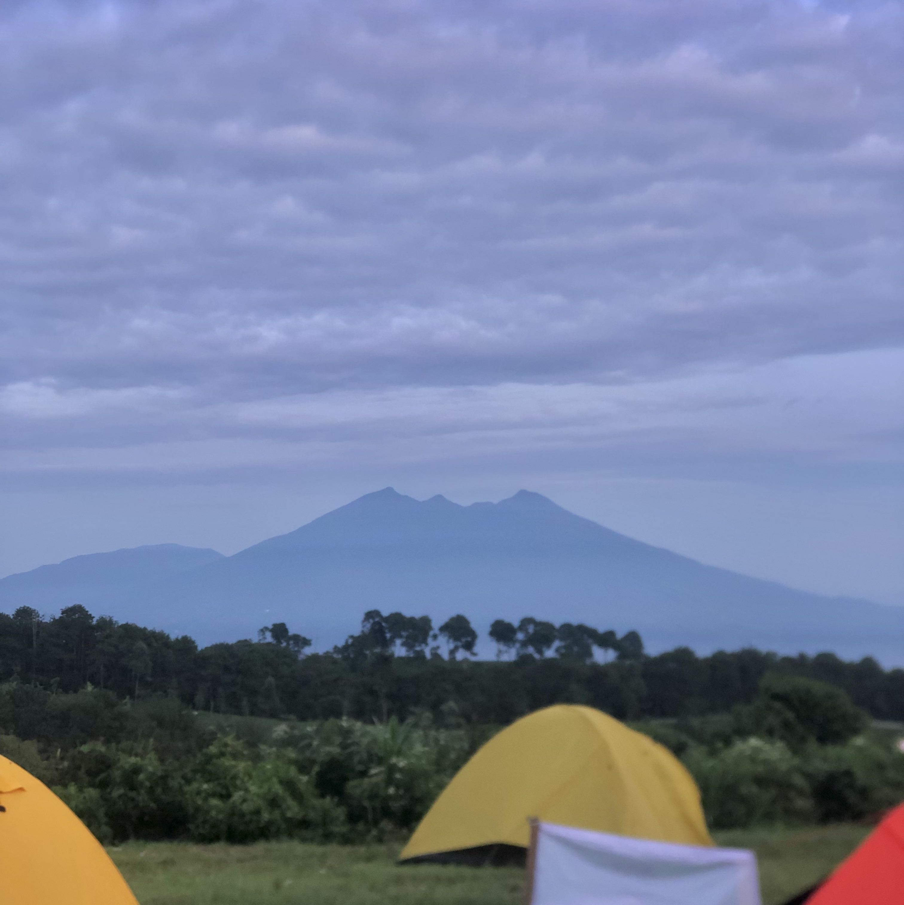 (Kategori: ) berada di . Dikirim oleh sasdika_01 (ID iklan 1384259958, Gambar 1). Deskripsi: .