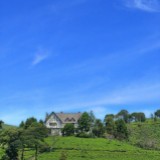 (Kategori: ) berada di . Dikirim oleh dinata678 (ID iklan 1218765389, Gambar 1). Deskripsi: .