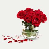 (Category: ) located in . Submitted by software_provider (Listing ID 1167416432, Image 1). Description: .