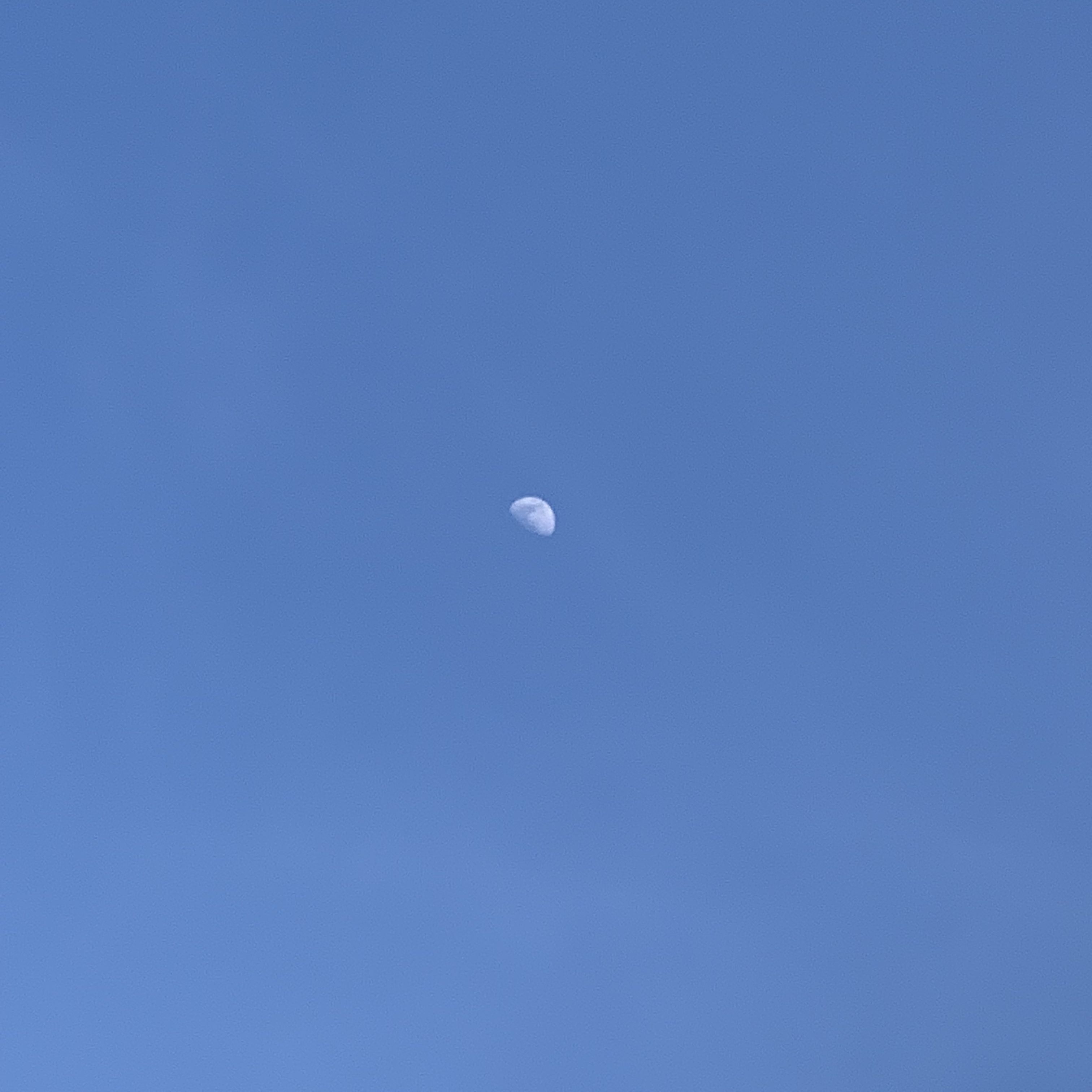 （分類：）位於 。 由 sooofie 提交（商品編號 1369487210，圖片 1）。簡介： 。