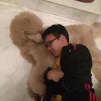 (Category: ) located in . Submitted by crealsushi (Listing ID 1329603207, Image 1). Description: .