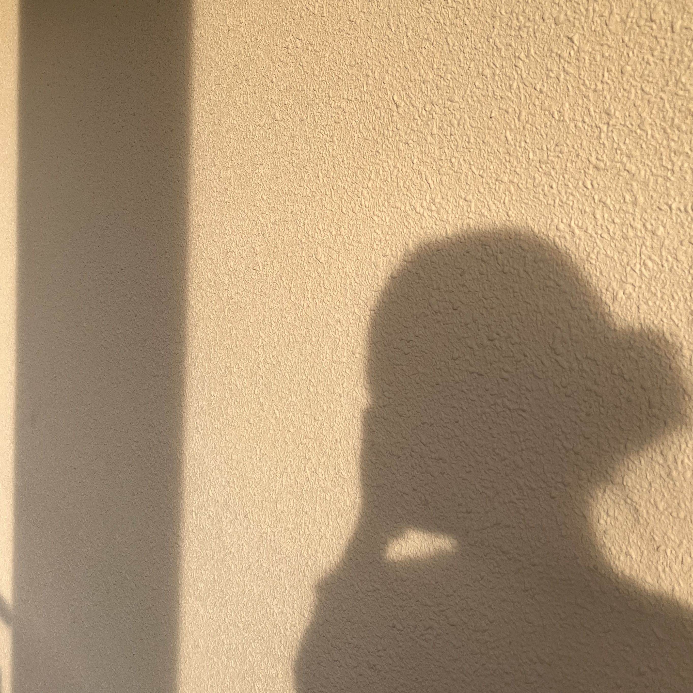(Category: ) located in . Submitted by youdumplings (Listing ID 1426321297, Image 1). Description: .