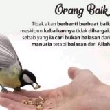 (Kategori: ) berada di . Dikirim oleh debbynada (ID iklan 1367132157, Gambar 1). Deskripsi: .