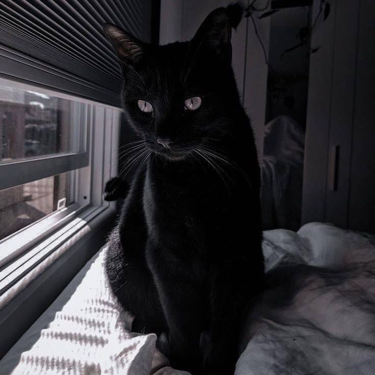 (Category: ) located in . Submitted by bbbbbbbmae (Listing ID 1437022815, Image 1). Description: .