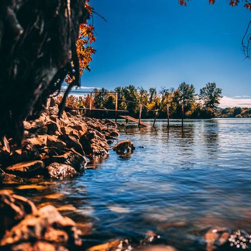 (Category: ) located in . Submitted by whitehollowz (Listing ID 1380406940, Image 1). Description: .