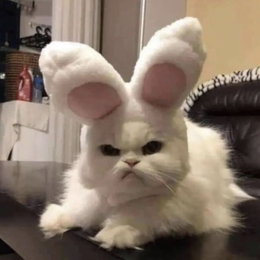 Instock Kojie San Kojic Acid Soap Skin Whitening And Lightening Natural Body Soap 65g Soap Beauty Personal Care Bath Body Bath On Carousell