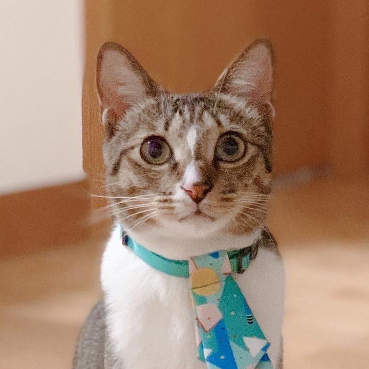 （分類：）位於 。 由 lilianlo_shan 提交（商品編號 1175553203，圖片 1）。簡介： 。